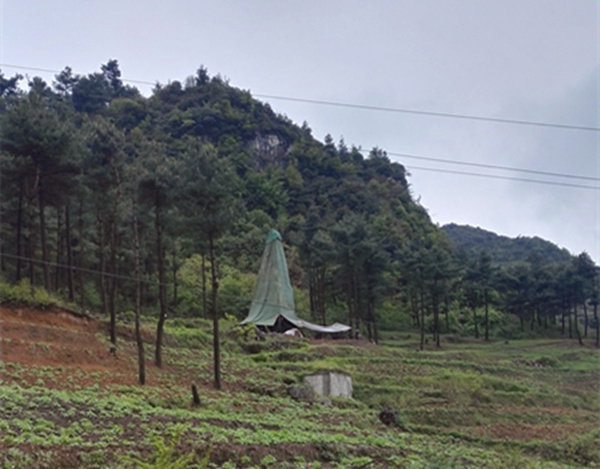 把脈“黔”鋅地，問診開良方